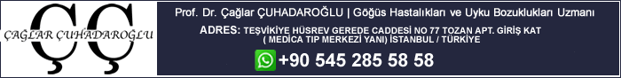 logo banner